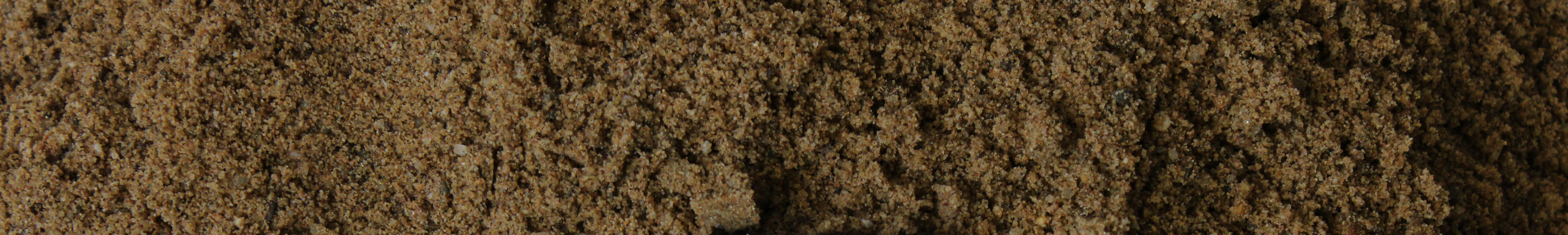 Sand.jpg?ts=1782203408
